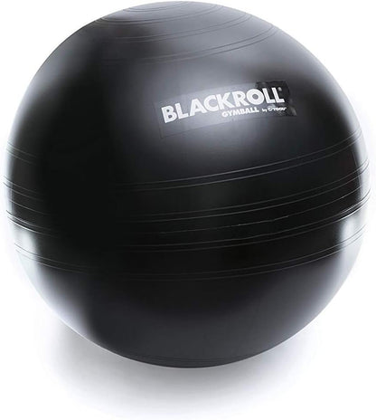 BLACKROLL GYMBALL 65