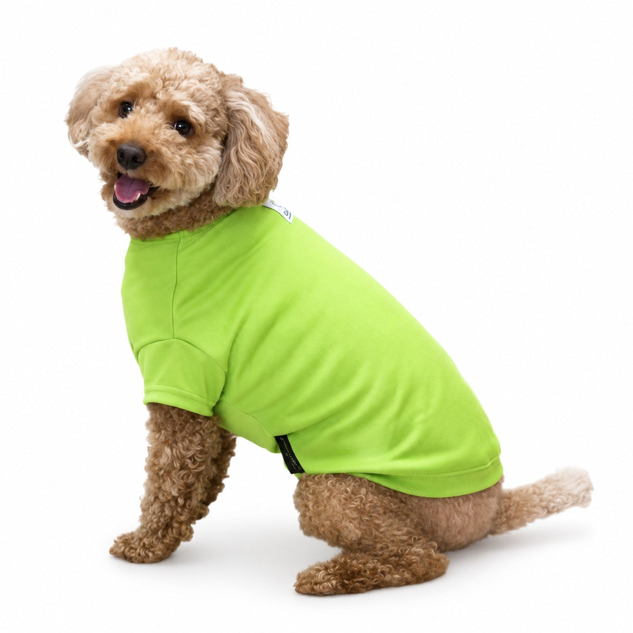 CCT 犬用 冷感クールウェア グリーン